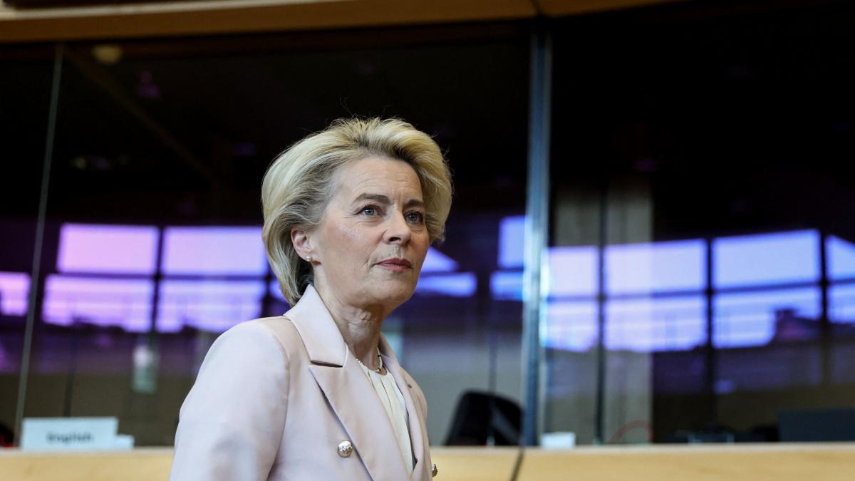 Bruselas asegura que la UE está 'preparada' para posibles cortes de gas ...