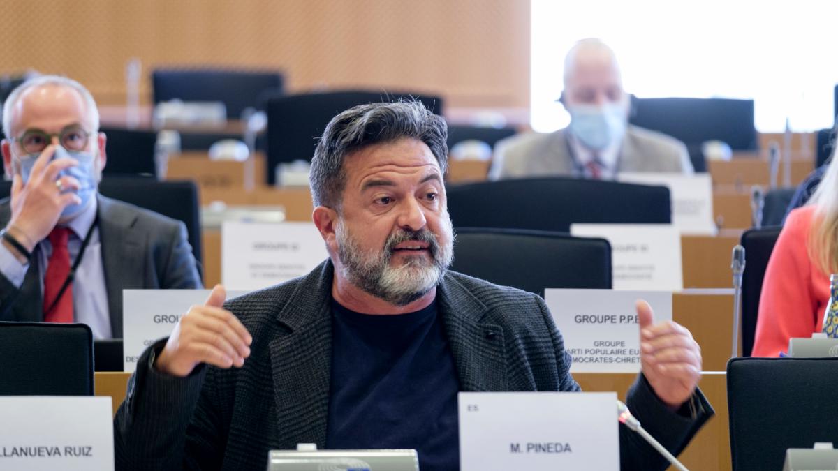 IU abona el terreno para ir junto a Sumar a las europeas