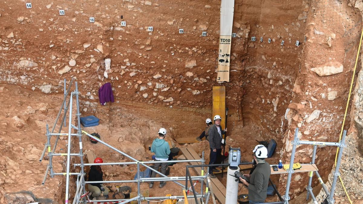 Un buscador de tesoros desentierra una moneda medieval con una imagen imposible: desconcierta a los numismáticos y podría ser declarada tesoro