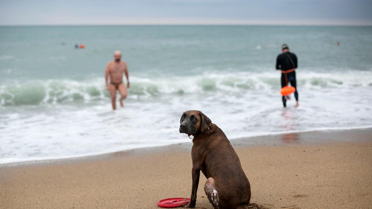 Un hombre muere ahogado tras lanzarse al agua para intentar salvar a su ...