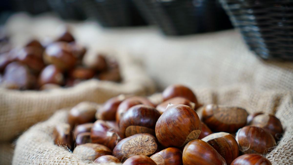 Castañas, el 'superalimento' que te pone guapa o guapo