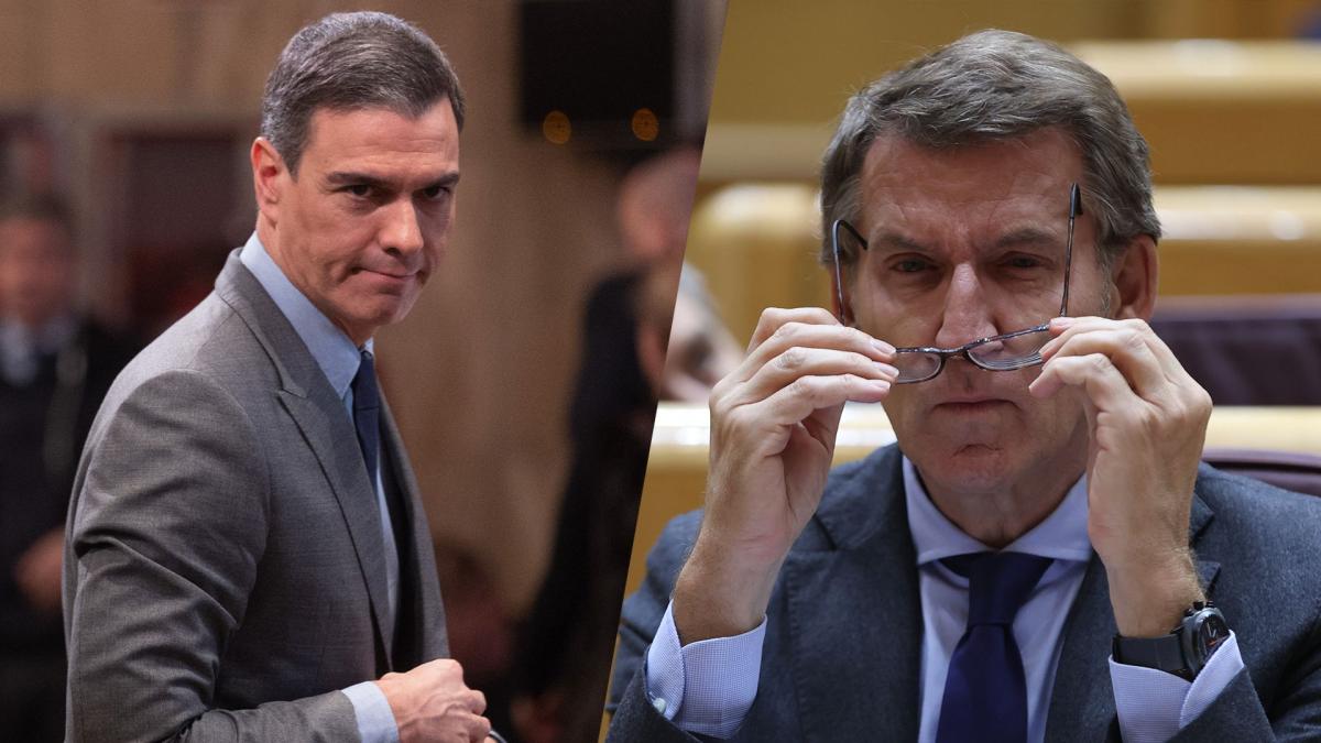 Sigue en directo el cuarto cara a cara entre Sánchez y Feijóo en el Senado