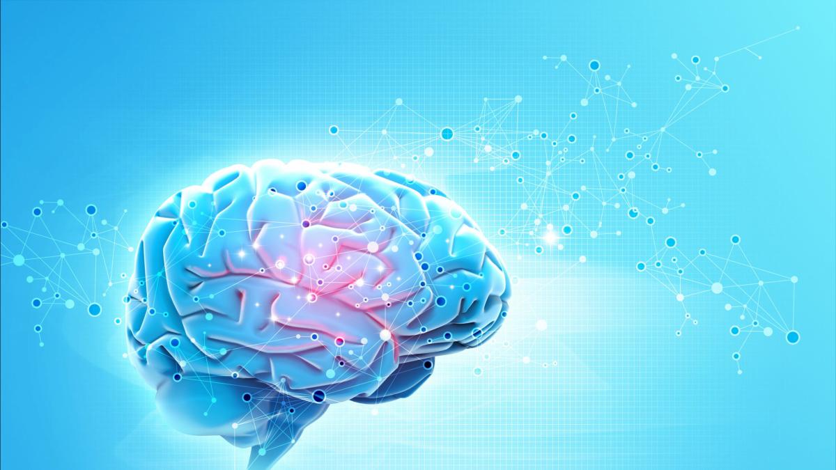 La neurocientífica extremeña Marta Navarrete demuestra que las células que Ramón y Cajal llamó 