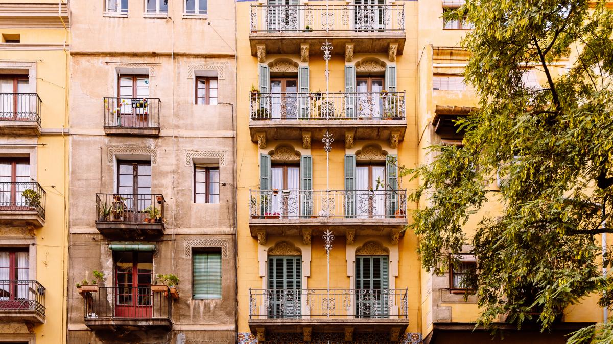 Carme Trilla, experta en vivienda: "Estamos haciendo un retroceso hacia formas no dignas que creíamos superadas: el barraquismo de los años 50 está volviendo"