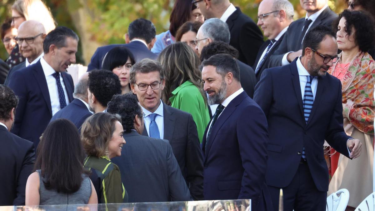 ¿Quién se lo dice?: Abascal no irá a la tribuna de autoridades porque ...
