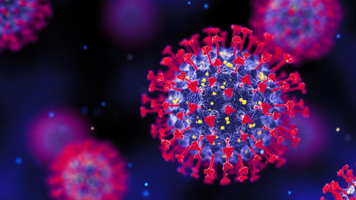 Científicos británicos lo confirman en 'Nature': nueva vía de entrada de coronavirus de murciélago a células humanas, pero descartan que vaya a provocar una pandemia inminente