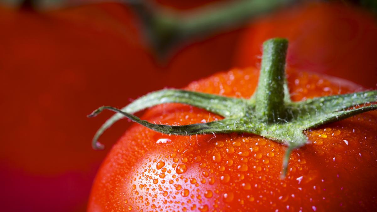 Ni Extremadura ni Andalucía: el premio al mejor tomate de España cae en ...