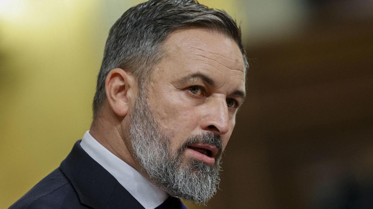 La Fiscalía del Supremo investigará a Abascal por las declaraciones ...