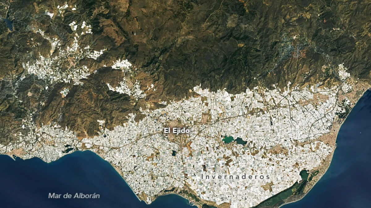 'The Guardian' viaja al mar de plástico de Almería y lo llama "el mayor monumento del planeta dedicado a la alimentación"
