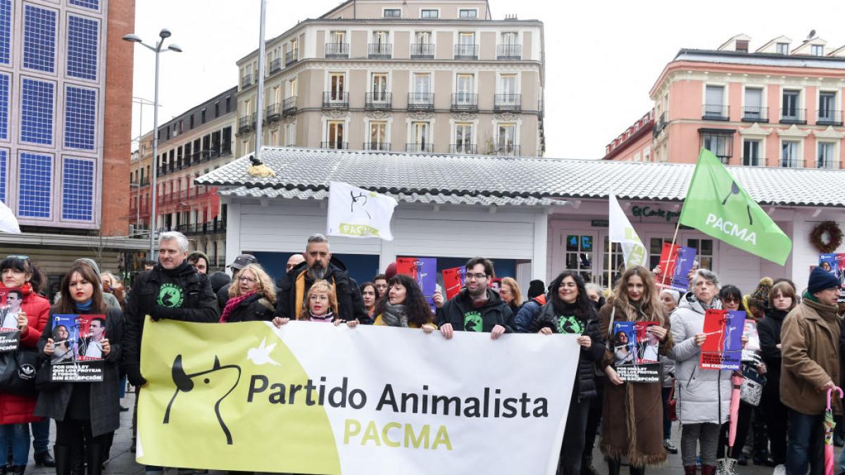 El día después de que PACMA superara a Podemos en votos: 'El animalismo ...