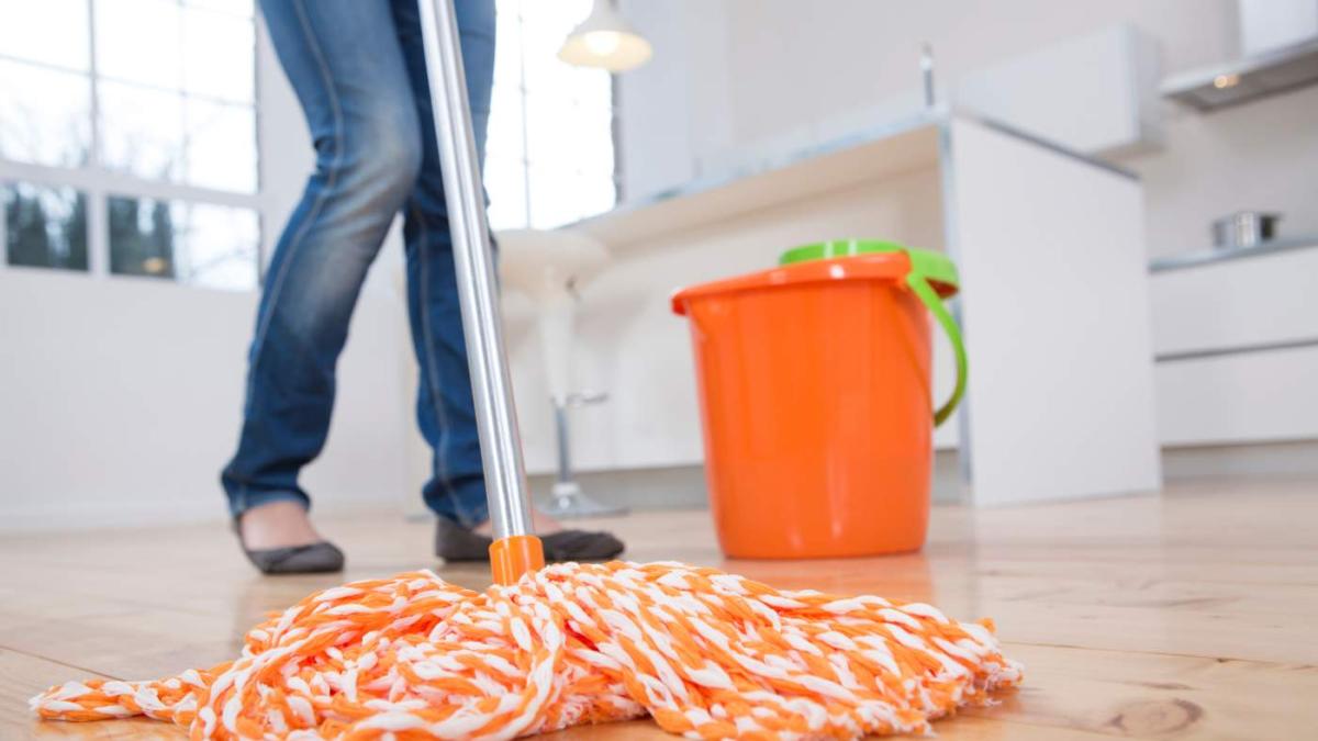 Elisa Rodríguez, directora de la Oficina Española de Patentes: "La fregona no la inventó ni un riojano ni un catalán: fueron dos mujeres llamadas Julia"