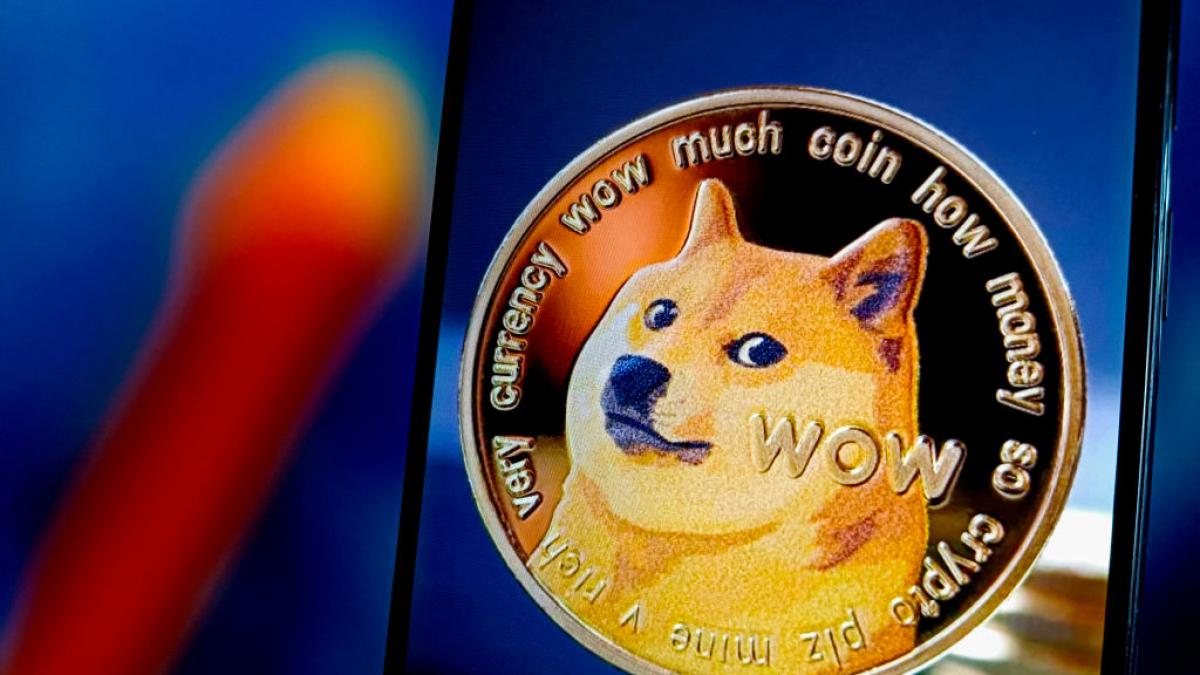 Muere Kabosu, la perra shiba inu que inspiró el meme Doge y la criptomoneda  Dogecoin
