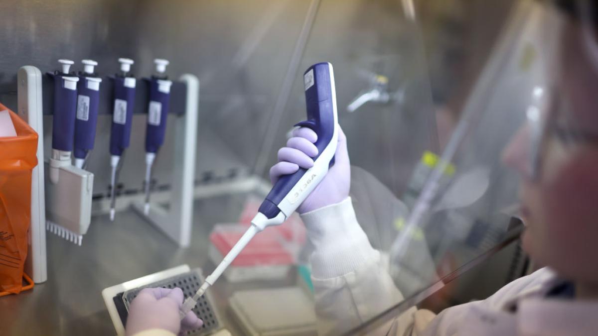 Un brote de gripe aviar en una granja de Lleida pone en alerta sanitaria a Cataluña