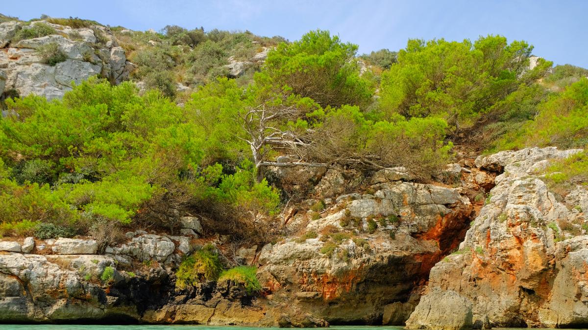 La cueva de Menorca considerada tesoro natural de la isla que sirve de discoteca, bar o mirador