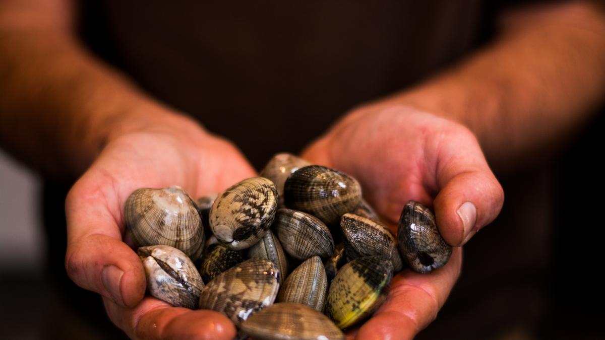 Héctor, de Gijón a la campiña inglesa:  Compré almejas aquí y la calidad es mucho peor, no es la misma 