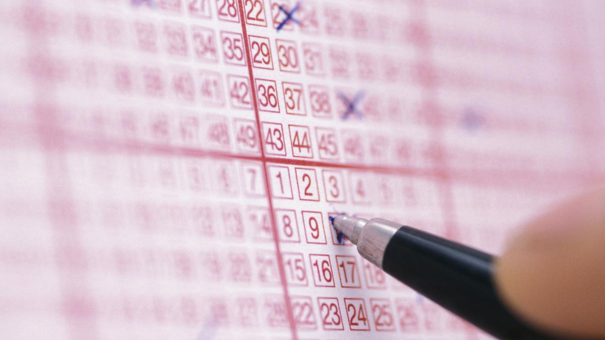 Ve una matrícula, cree que es una señal, sigue su instinto y vuelve a ...