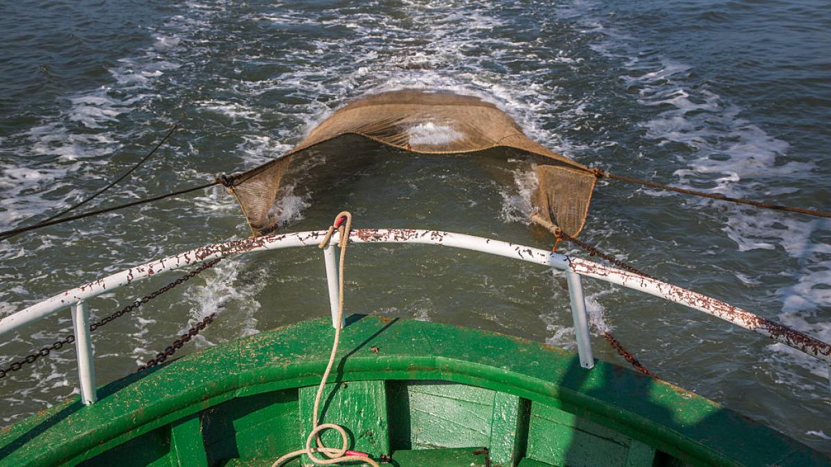 Un biólogo español, ante uno de los megabarcos más grandes del mundo de pesca de arrastre: “Esto no es sostenible, es un colapso ecológico acelerado”