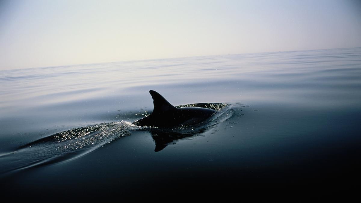 Los geólogos no dan crédito: una partícula 100.000 veces más energética que cualquier cosa producida en un colisionador atravesó el Mediterráneo y nadie sabe de dónde vino