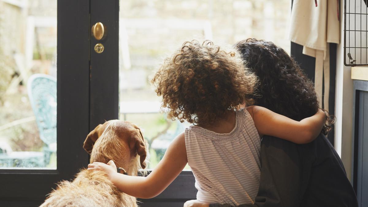 Joan Tahull, sociólogo: "Los animales se han convertido en calmantes existenciales capaces de mitigar la soledad en un entorno de interacciones sociales efímeras"