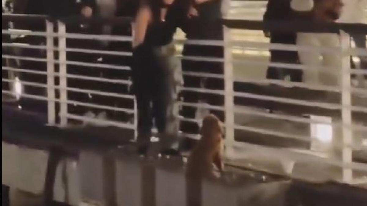 El heroico gesto de esta mujer que arriesga su vida para salvar a un ...