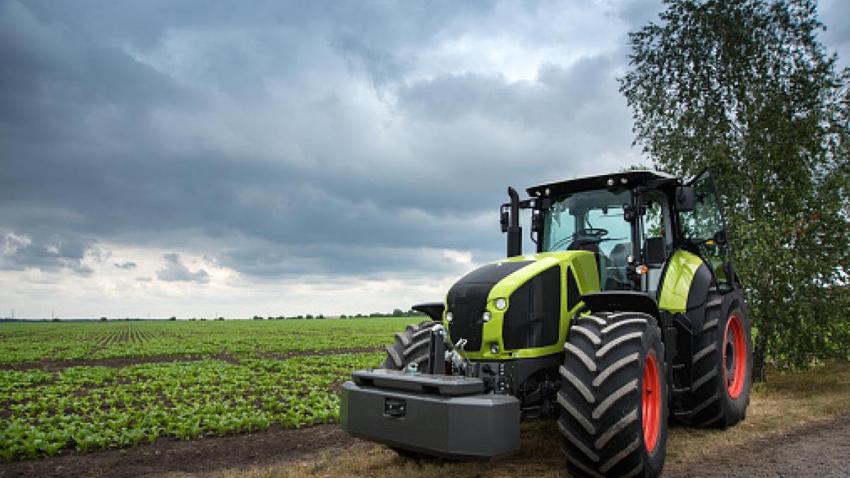 Los mayoristas europeos avisan: el pimiento español ha desaparecido de los mercados por la plaga que ya arruinó a los agricultores almerienses