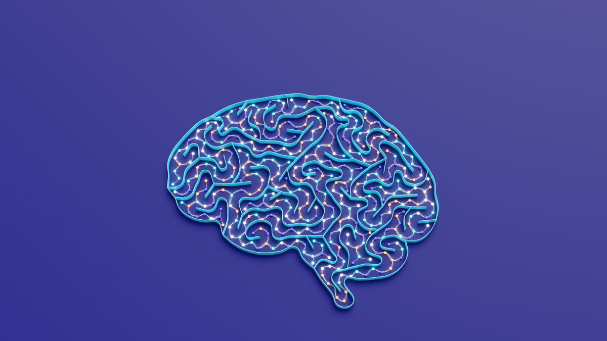 La psicología sugiere que los mayores de 80 que mantienen la memoria de alguien de 50 tienen un denominador común: evitan el estrés que crean ellos mismos y se mantienen socialmente activos