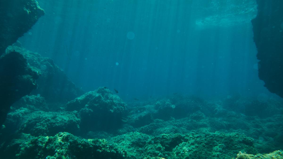 Una expedición perfora las profundidades del lecho marino para descubrir qué hay debajo y lo que encuentran sobrepasa las expectativas
