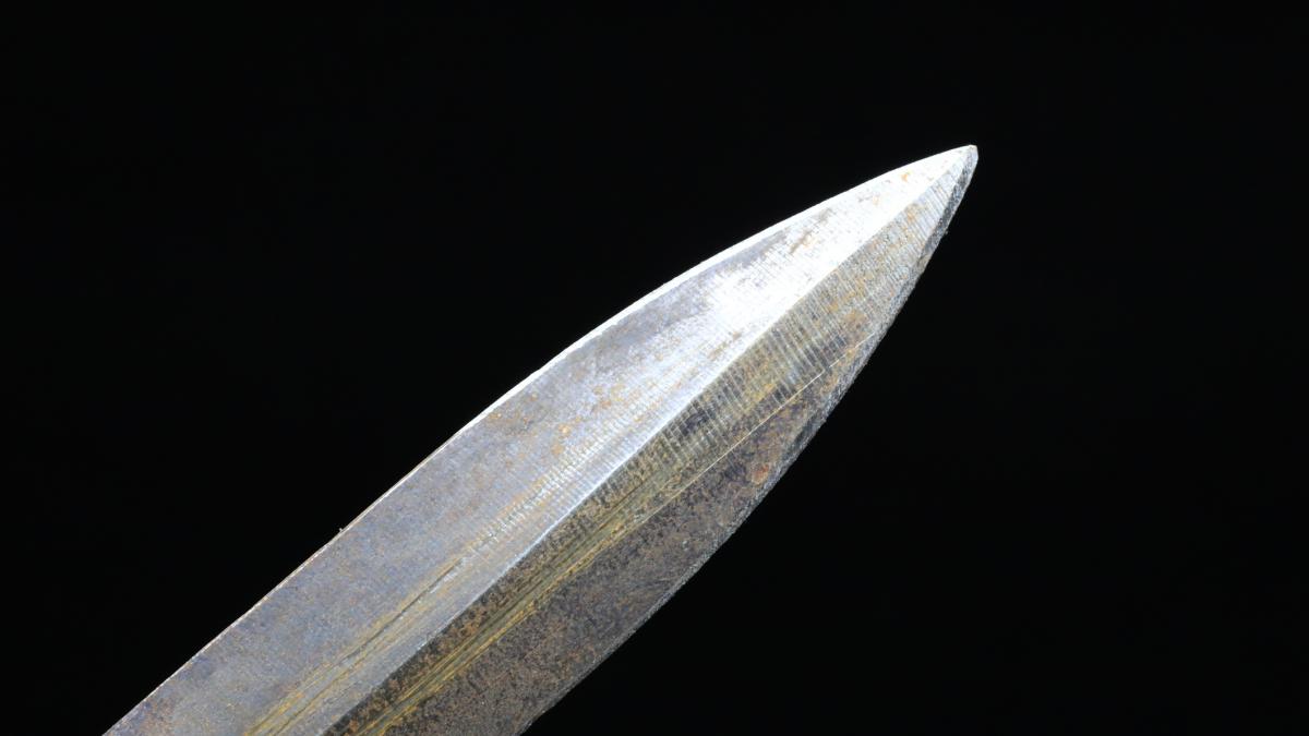 Descubre por casualidad una espada de 1.000 años de antigüedad casi intacta mientras pescaba