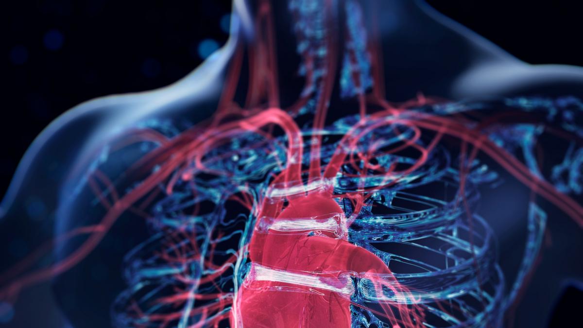 Un neurocientífico de Stanford: "El corazón acelerado antes de un examen o de hablar en público no es la consecuencia de la ansiedad, sino probablemente sea la causa"