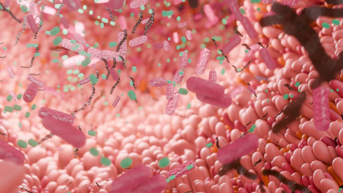 Un giro en la biología del envejecimiento: estas partículas 