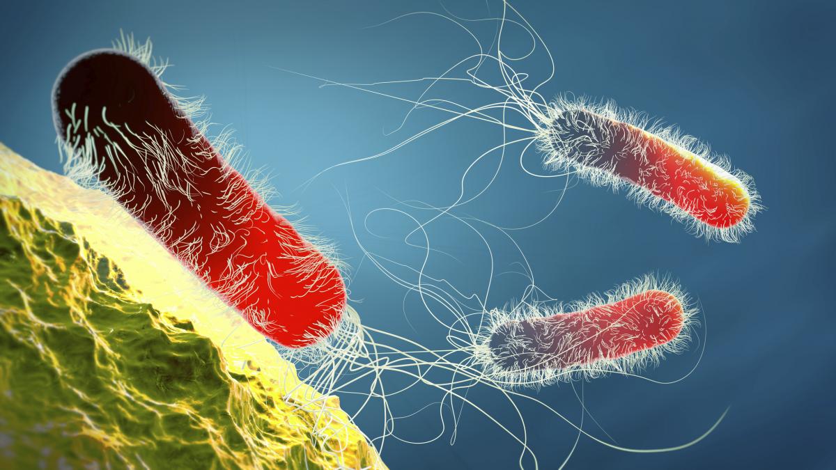 Los científicos no dan crédito: bacterias atrapadas 6 millones de años en una cueva de Nuevo México sin contacto humano ya eran resistentes a 26 de 40 antibióticos antes de que existiera la medicina