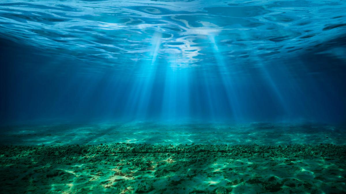 Sorpresa entre los arqueólogos al hallar barcos de casi un siglo de antigüedad en el fondo del mar