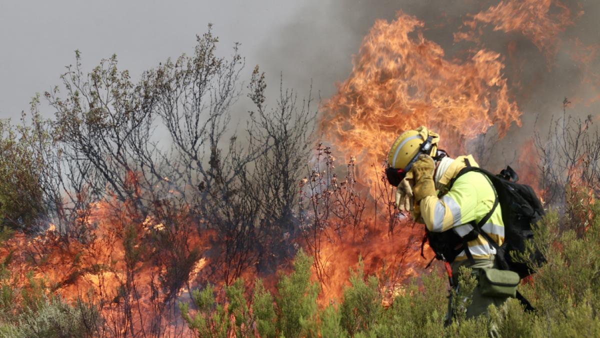 Un matemático de Alicante lo confirma: el calentamiento hace 39 veces más probable el clima que alimenta los incendios de España y Portugal