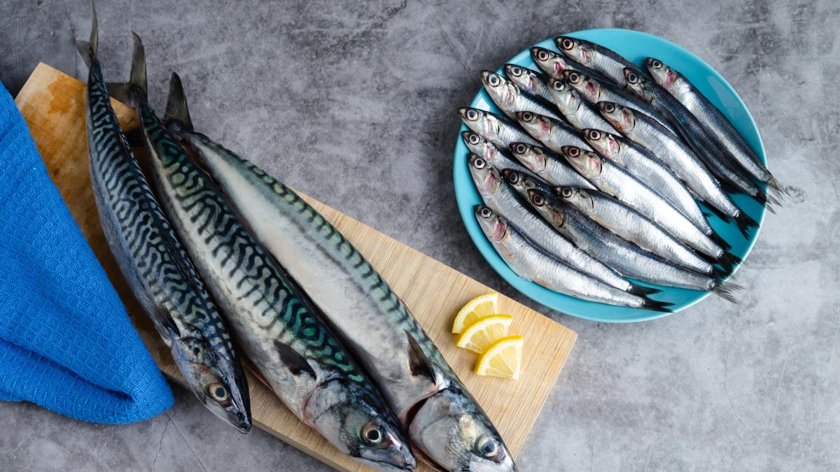 Ana Luzón, técnica en nutrición, destaca cuáles son los mejores alimentos para la vista