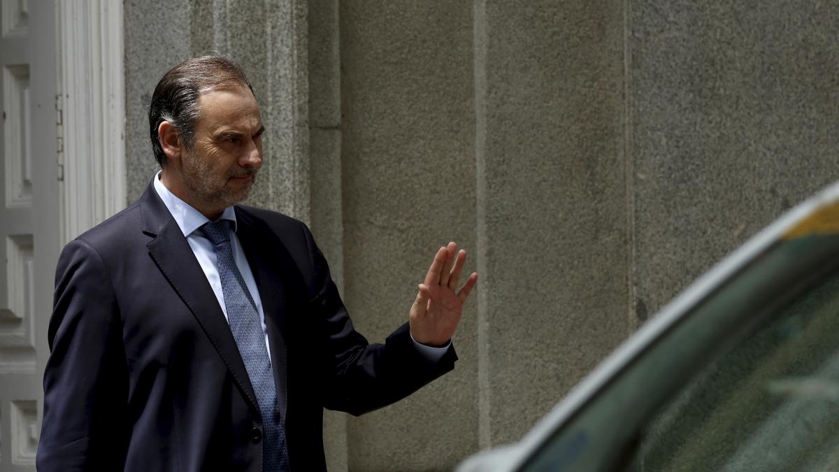  Chistorras ,  soles ,  lechugas  y  folios ... Diccionario para entender los mensajes ocultos entre Ábalos, Koldo y su exmujer