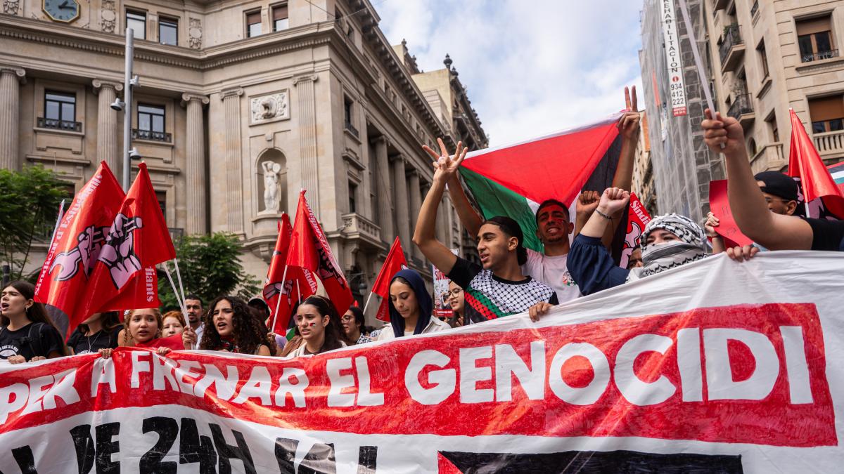 España se moviliza por Palestina: miles de personas se manifiestan contra el  genocidio  en Gaza