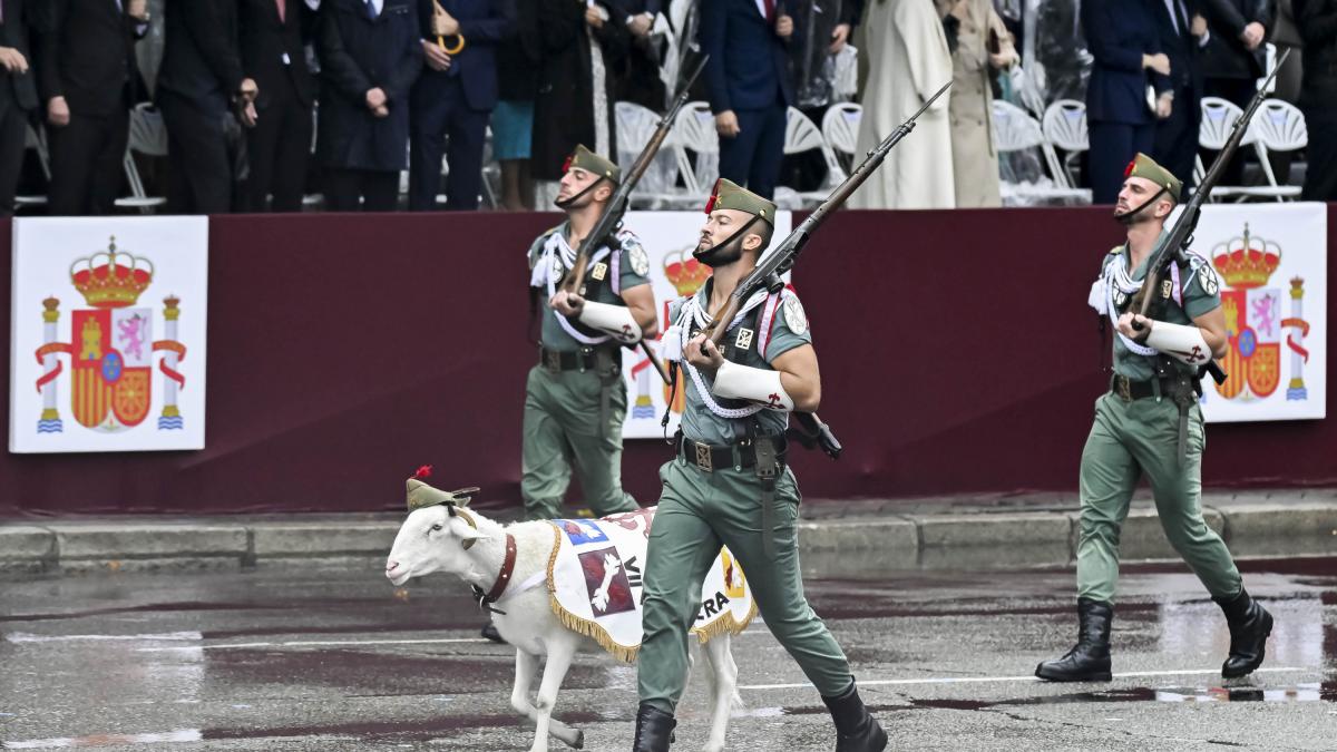 Rufián, no te preocupes, este año no hay cabra: esta es la mascota de la Legión para el desfile del 12 de octubre