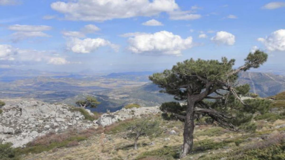 El pueblo de Andalucía que sobresale porque la mayoría de sus vecinos tienen apellidos navarros