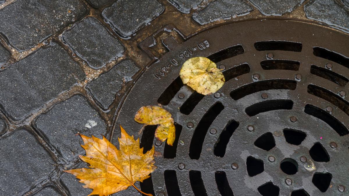 Lo que nadie vio durante el covid: la ciencia revela que medir brotes estudiando aguas residuales tiene puntos ciegos en barrios más pobres