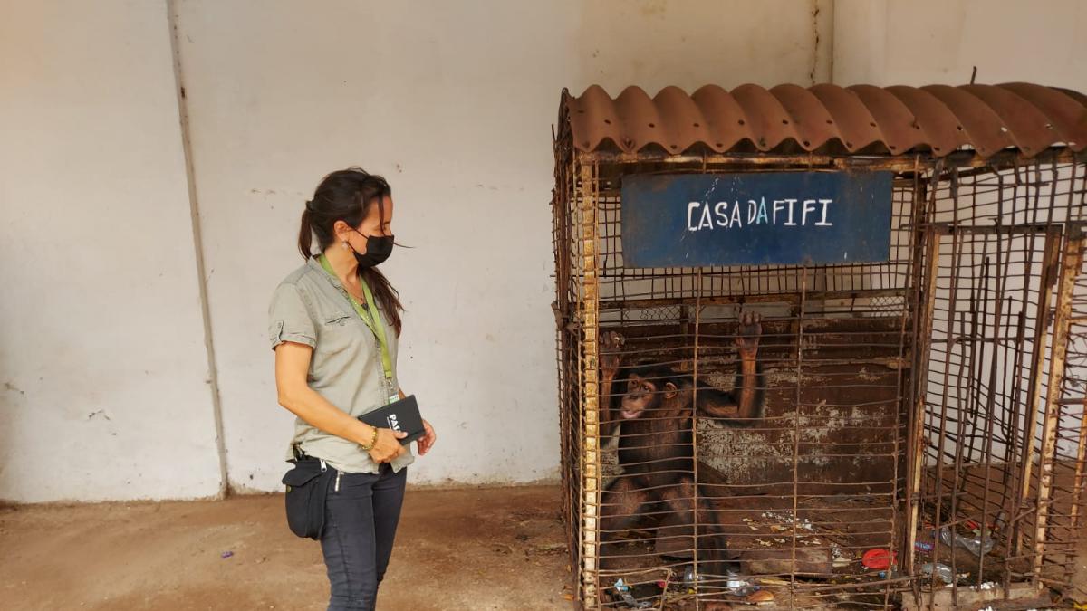 El rescate más impactante de Rebeca Atencia, la veterinaria gallega que salva animales salvajes por todo el mundo