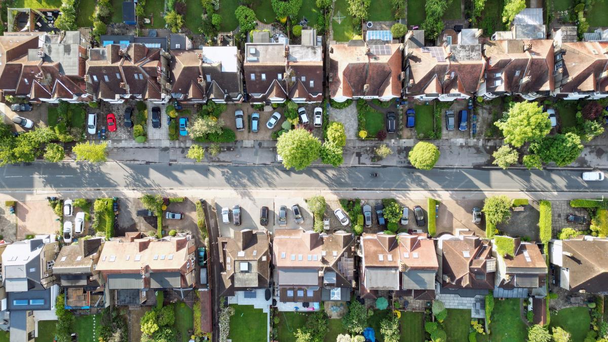 La plaga de insectos devora frutos y árboles y deciden combatir la invasión desatando a su enemigo natural