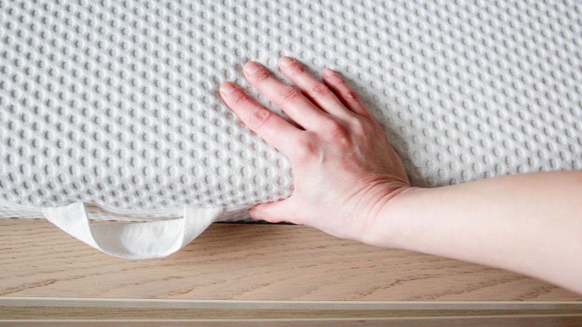 Una solución casera promete acabar con las chinches que buscan el calor de tu hogar para pasar el invierno