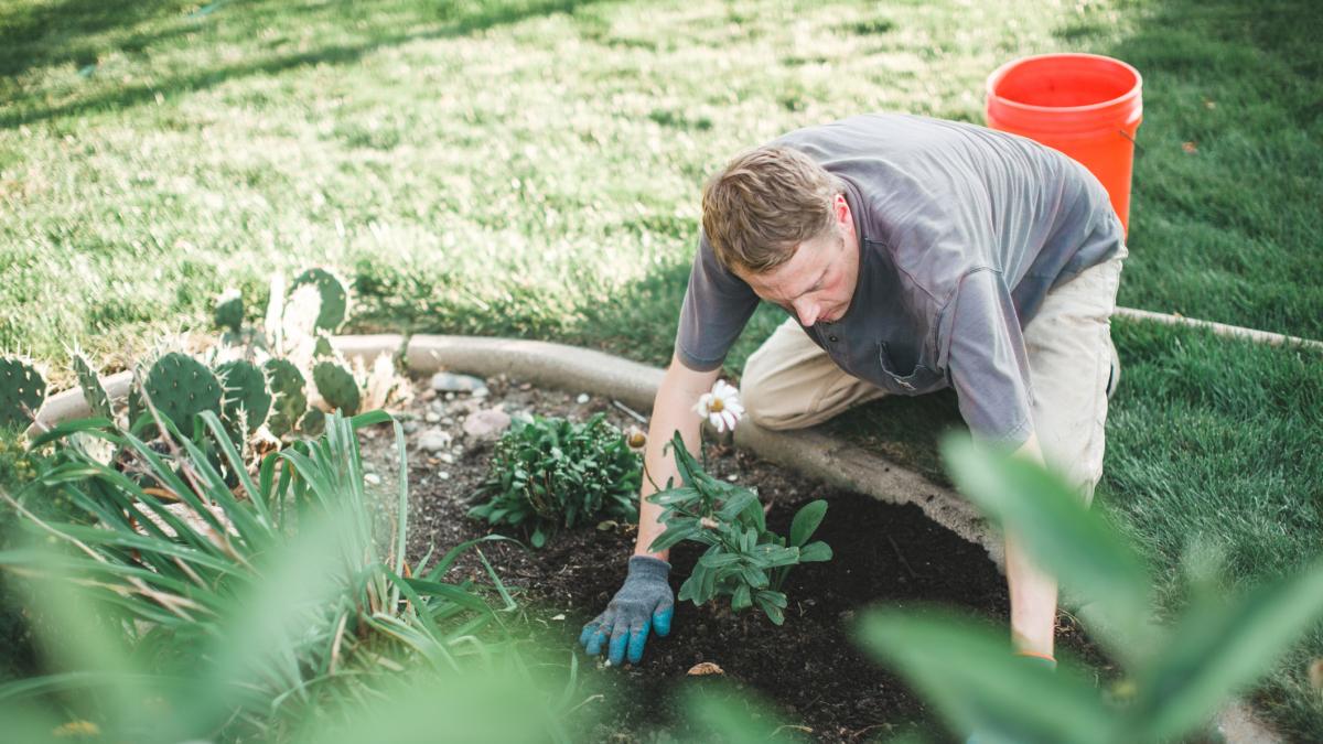 Un vecino sale al jardín para una chapuza en la piscina y vuelve a casa con un tesoro de 700.000 euros