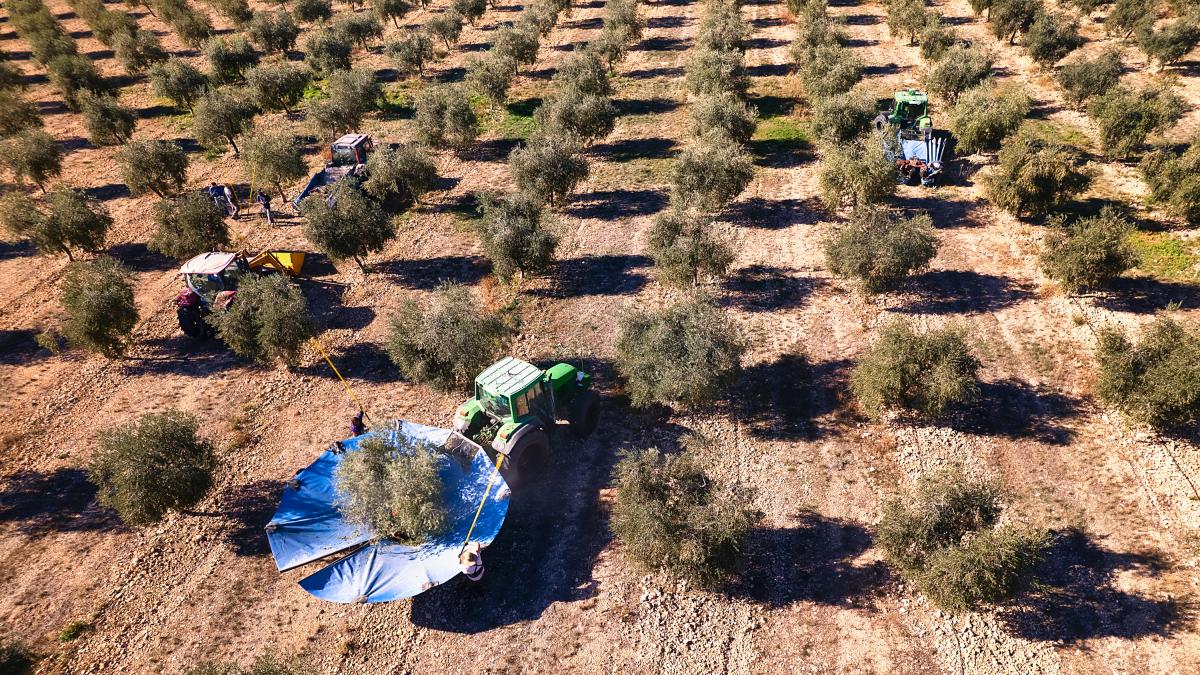 Agricultores y ganaderos coinciden:  No es solo el gasoil: también van a subir los abonos, los plásticos y todos los derivados del petróleo 