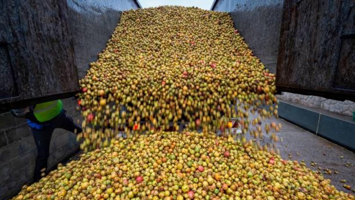 Un hombre ayuda a los animales de una finca quemada en Cáceres con un rico regalo de miles de kilos