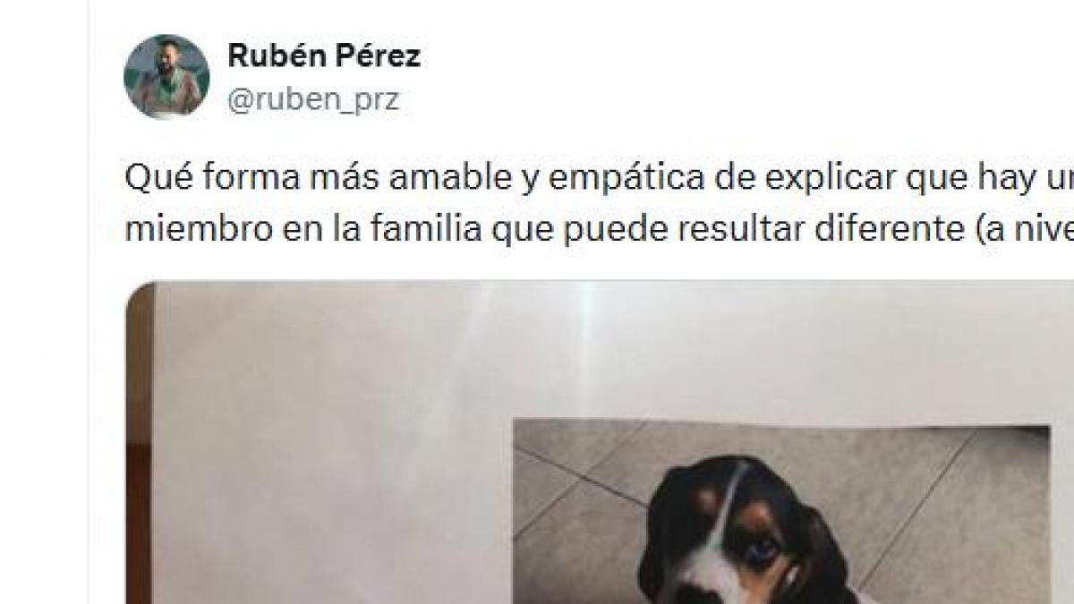 Adopta un perro y el cartel que cuelga en la comunidad de vecinos da la vuelta a España: la respuesta de uno de ellos triunfa