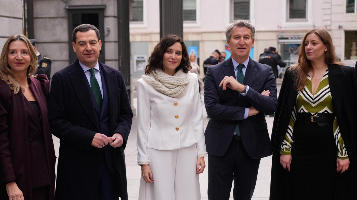 Sánchez aprovecha los actos por la Constitución para pedir protección a la salud pública frente a las  privatizaciones  del PP