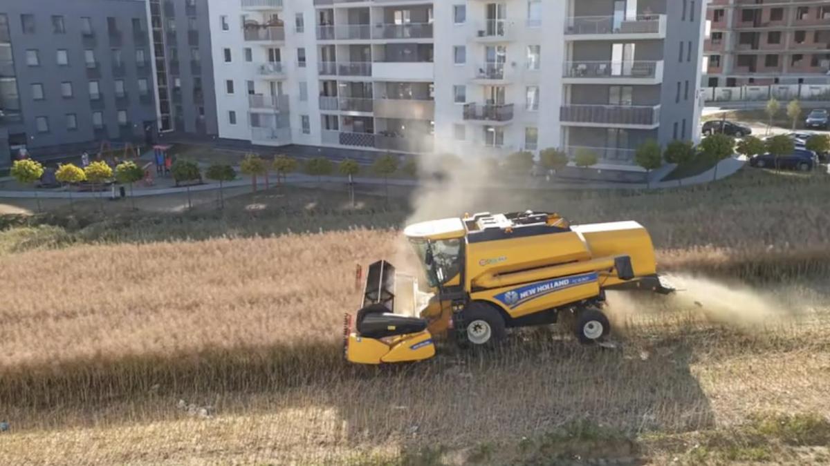 Michal, agricultor, se niega a vender su terreno y cosecha rodeado de edificios: "Valiente y resistente"