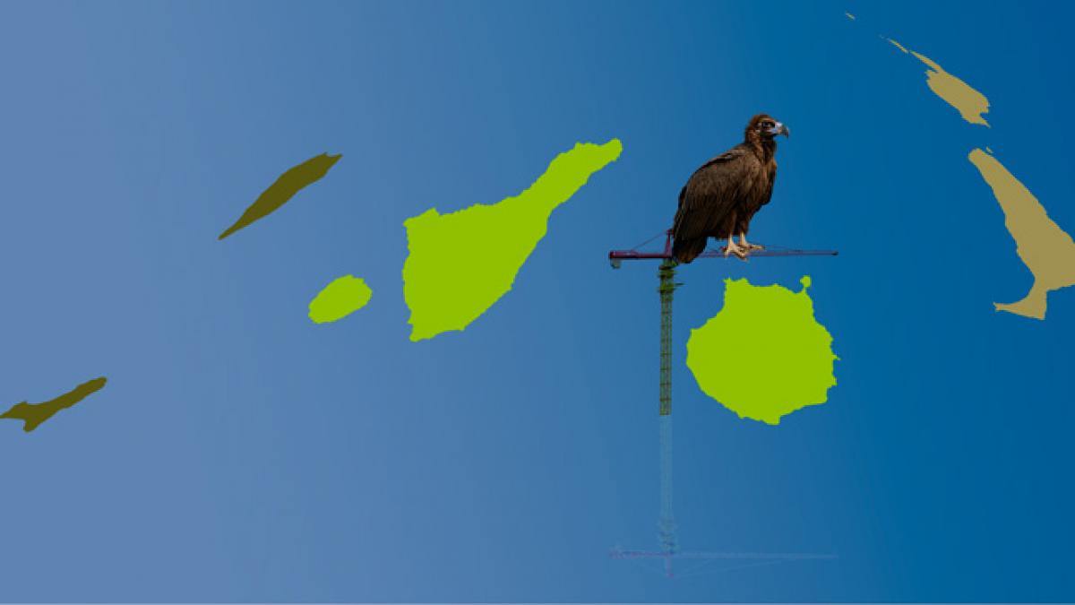 Un debate europeo sobre el acceso a la vivienda en Canarias: prioridad imperiosa, que exige normas y recursos