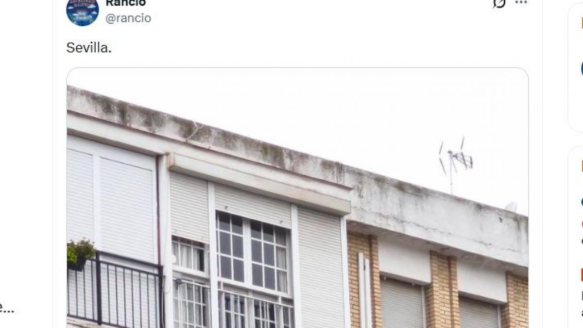 Lo que han hecho estos vecinos de Sevilla para tender la ropa fuera tras las lluvias va dar una idea a más de media España